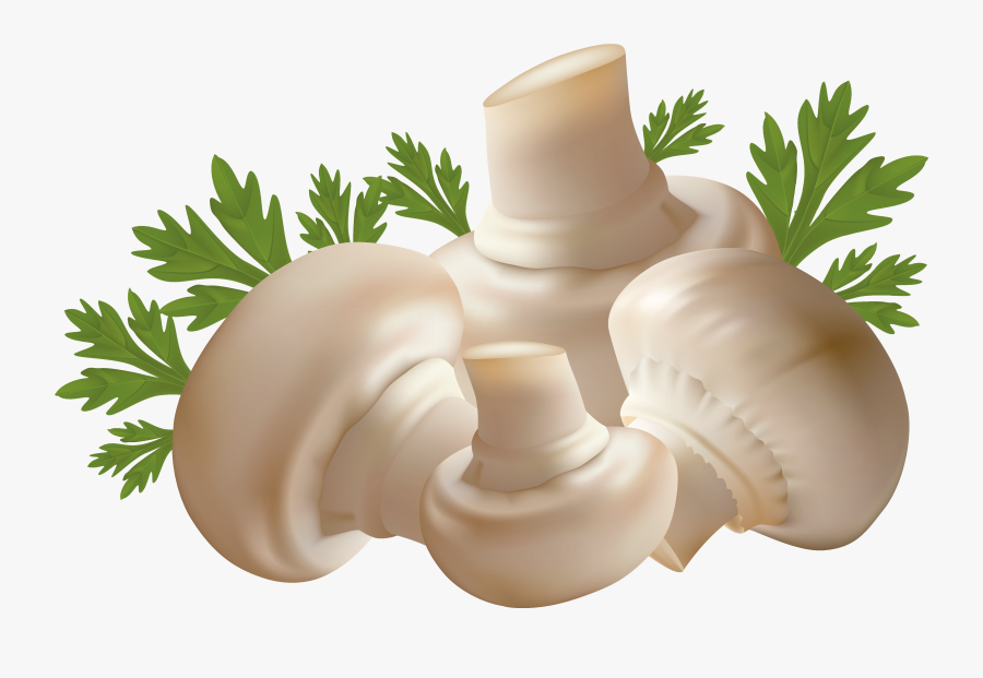 Vegetables Clipart Mushroom - Mushrooms Clipart Png, Transparent Clipart
