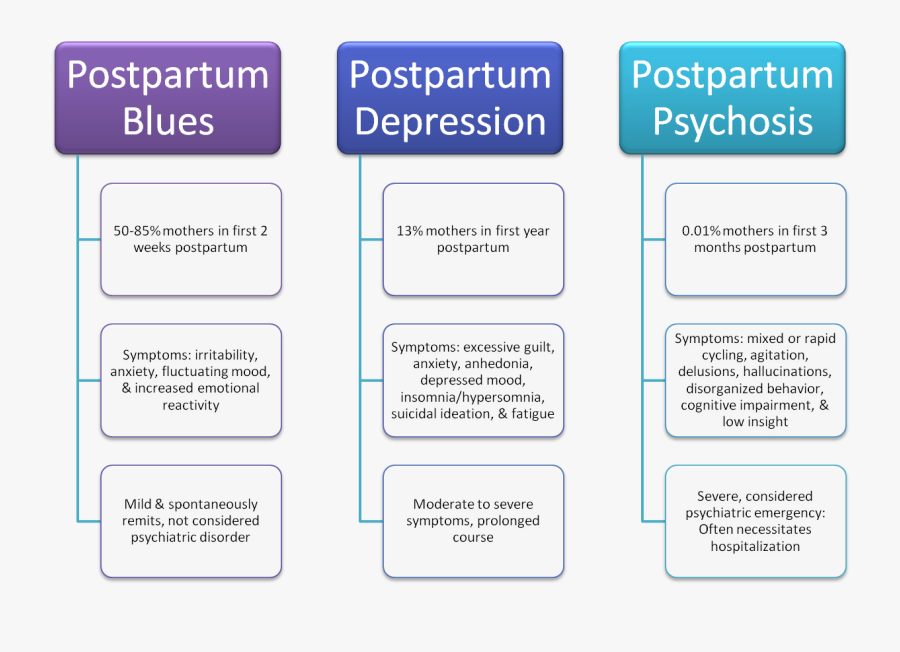 Screenshot, Transparent Clipart