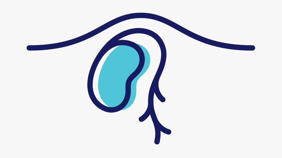 Maternity Care Salem Oregon, Transparent Clipart