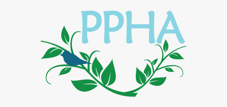 Pregnancy & Postpartum Health Alliance Of Texas - Calligraphy, Transparent Clipart