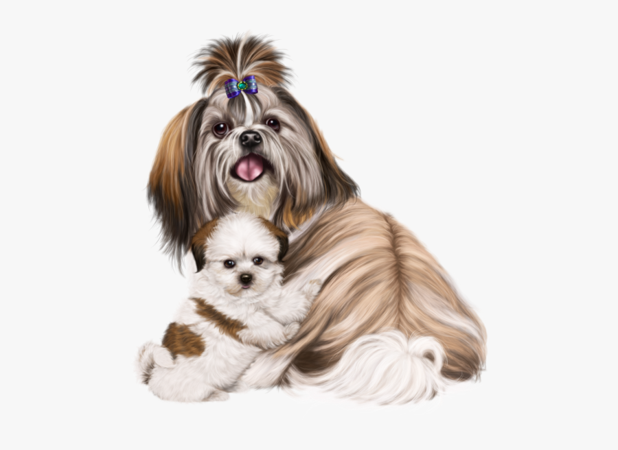Black And White Shih Tzu Dog - Dogs Записи В Рубрике Dogs Дневник Mileidi46 Liveinternet, Transparent Clipart