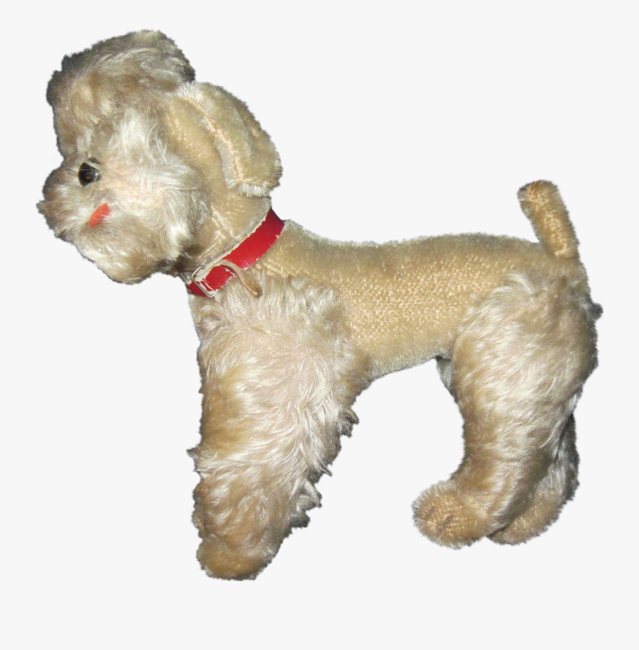 Miniature Poodle Schnoodle Shih Tzu Cockapoo - Companion Dog, Transparent Clipart