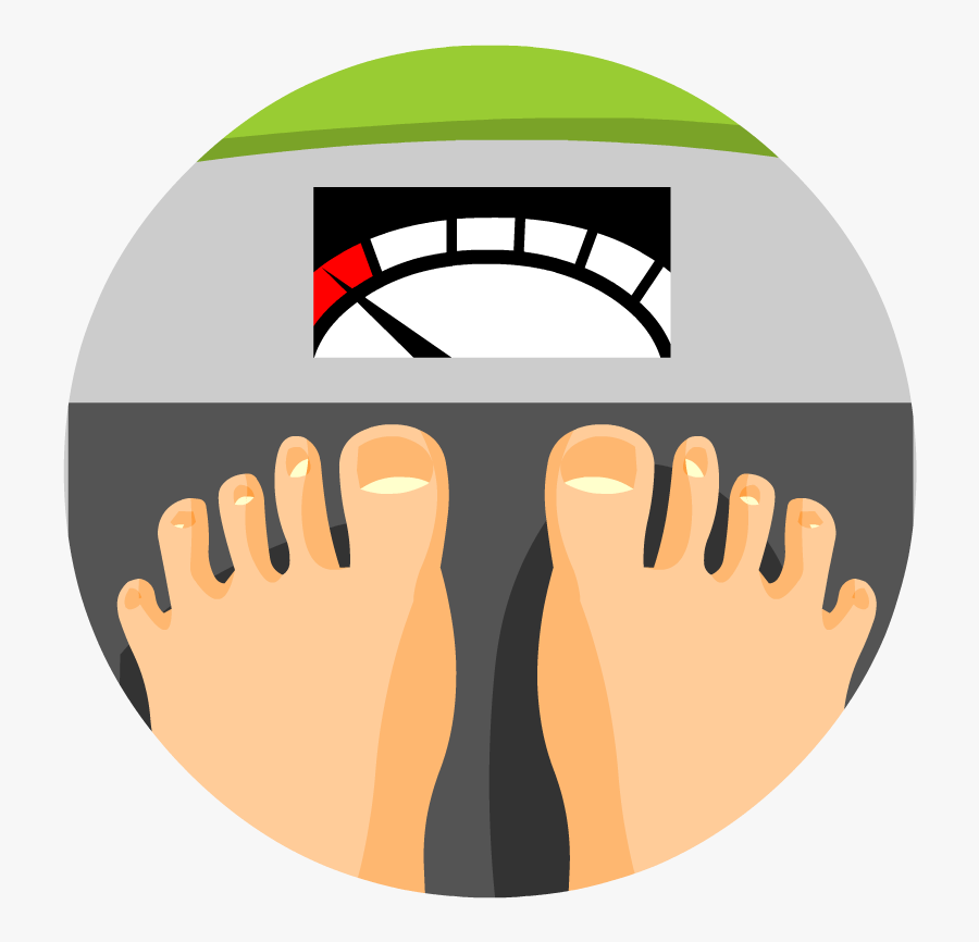 Circle, Transparent Clipart