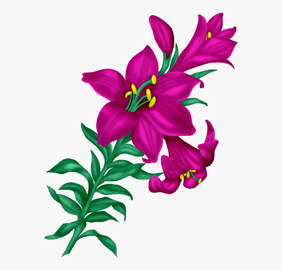 Фото, Автор I, Transparent Clipart