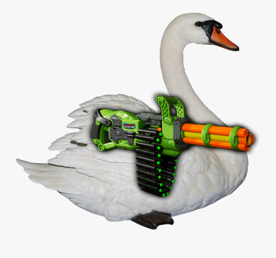 Trumpeter Swan, Transparent Clipart