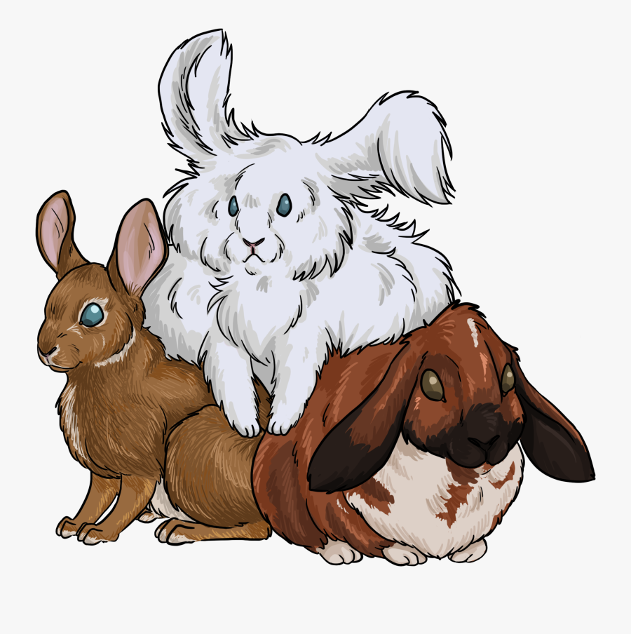 Domestic Rabbit, Transparent Clipart