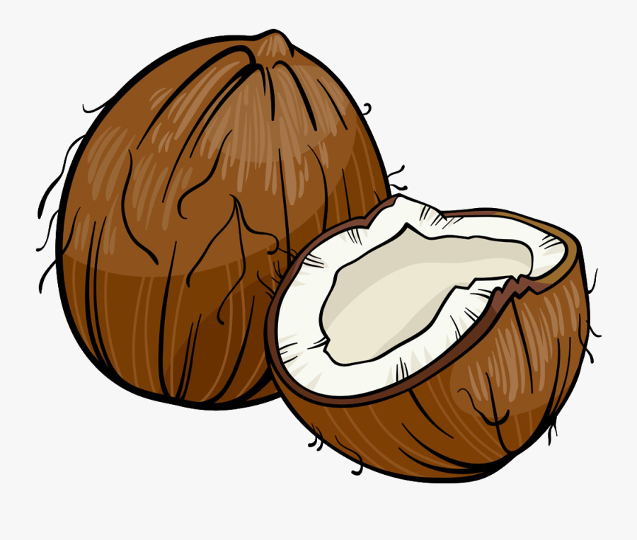 Coconut Cartoon Royalty-free Illustration - Clip Art Coconut Cartoon, Transparent Clipart