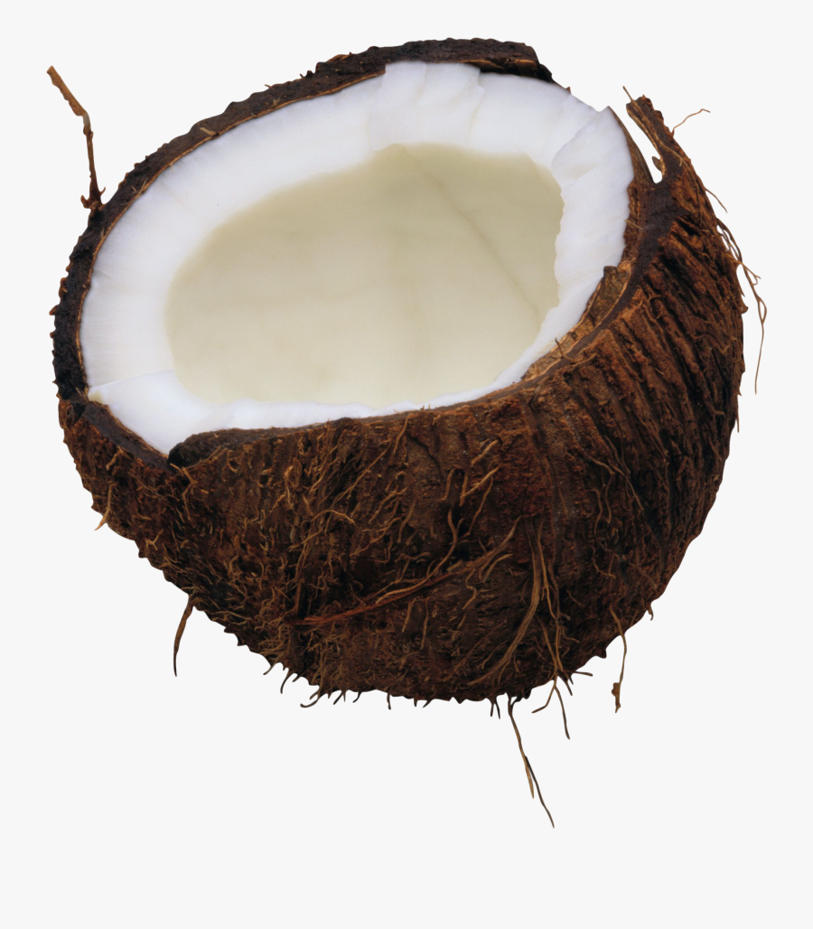 Coconut Png Image - Coconut Png, Transparent Clipart