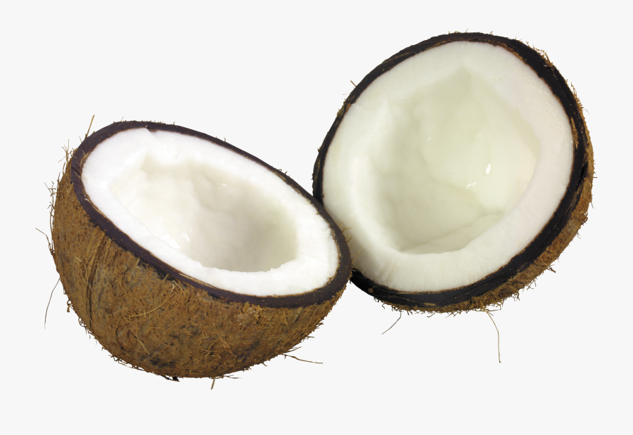 Coconut Png Image, Transparent Clipart