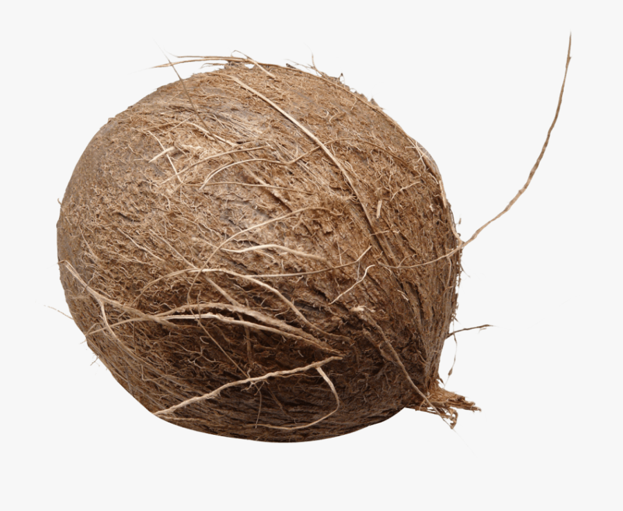 Coconut Clipart Transparent Background - Coconut Png, Transparent Clipart
