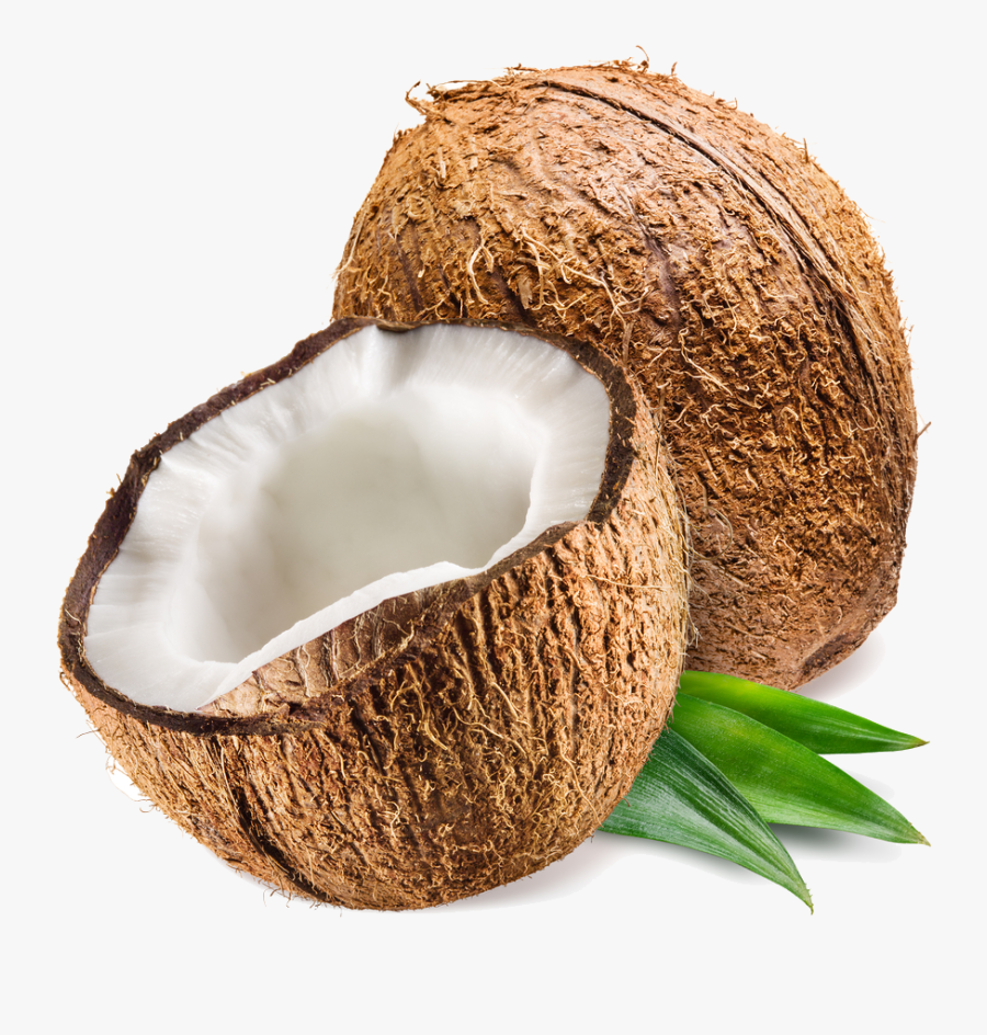 Coconut Png Transparent Photo, Transparent Clipart