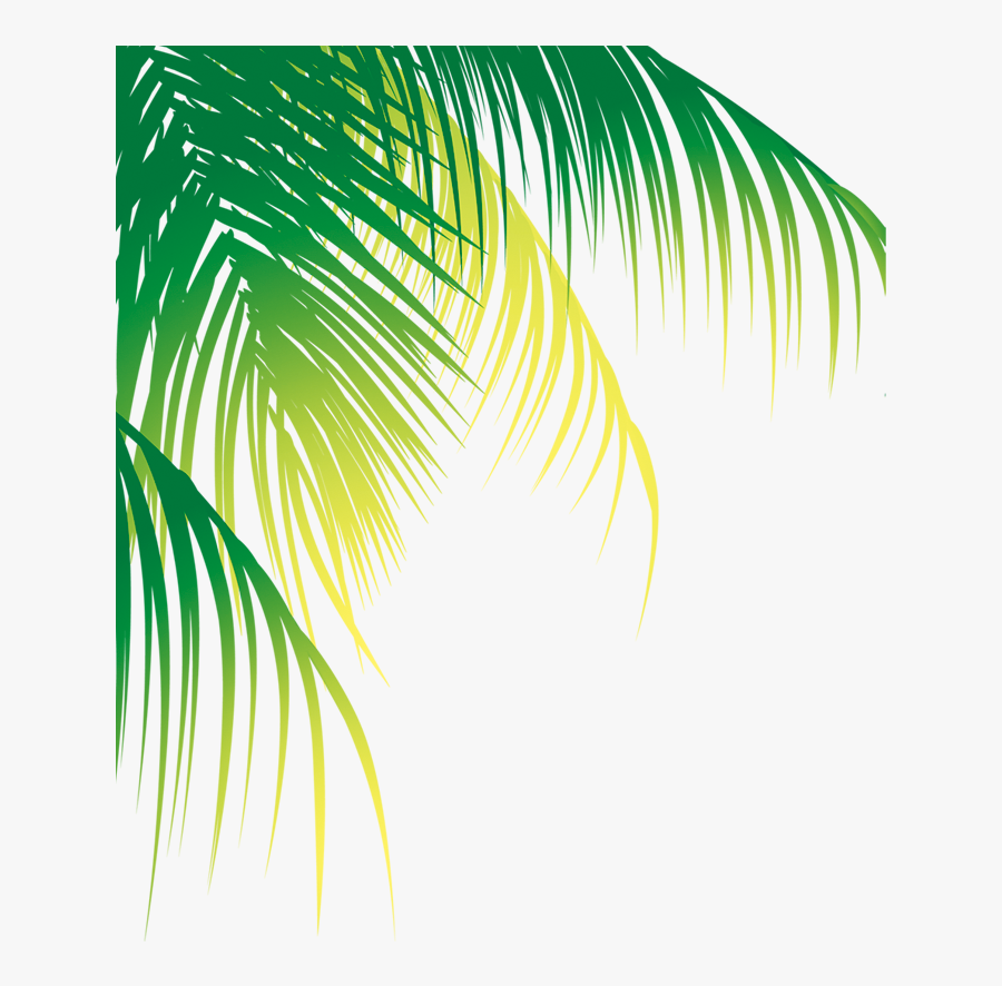 Water Arecaceae Coconut Material Tree Free Transparent - Coconut Leaves Vector Png, Transparent Clipart