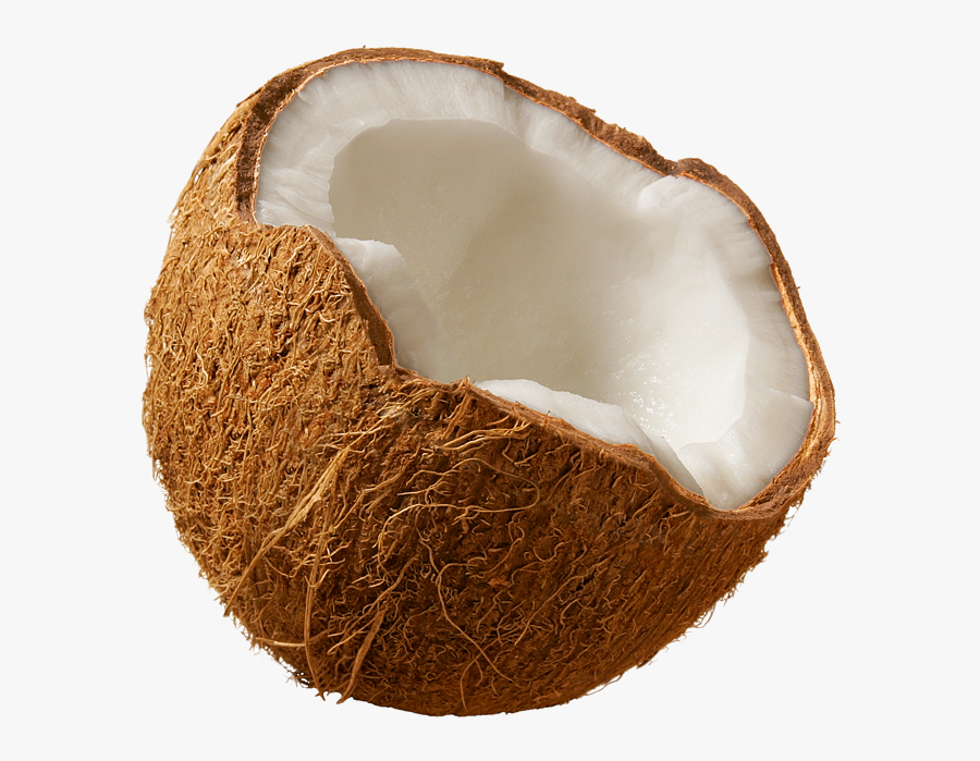 Coconut Clipart Transparent Tumblr - Coconuts Png, Transparent Clipart