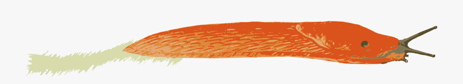 Wood, Transparent Clipart