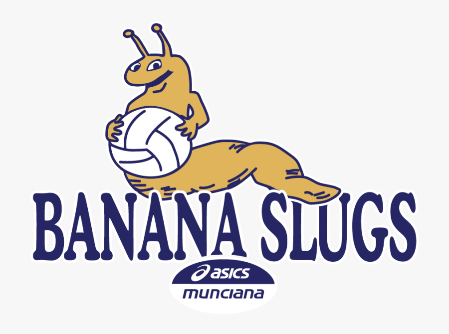 Asics, Transparent Clipart