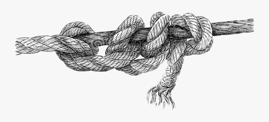 Clip Art Rope Drawing - Knot Rope Drawing, Transparent Clipart