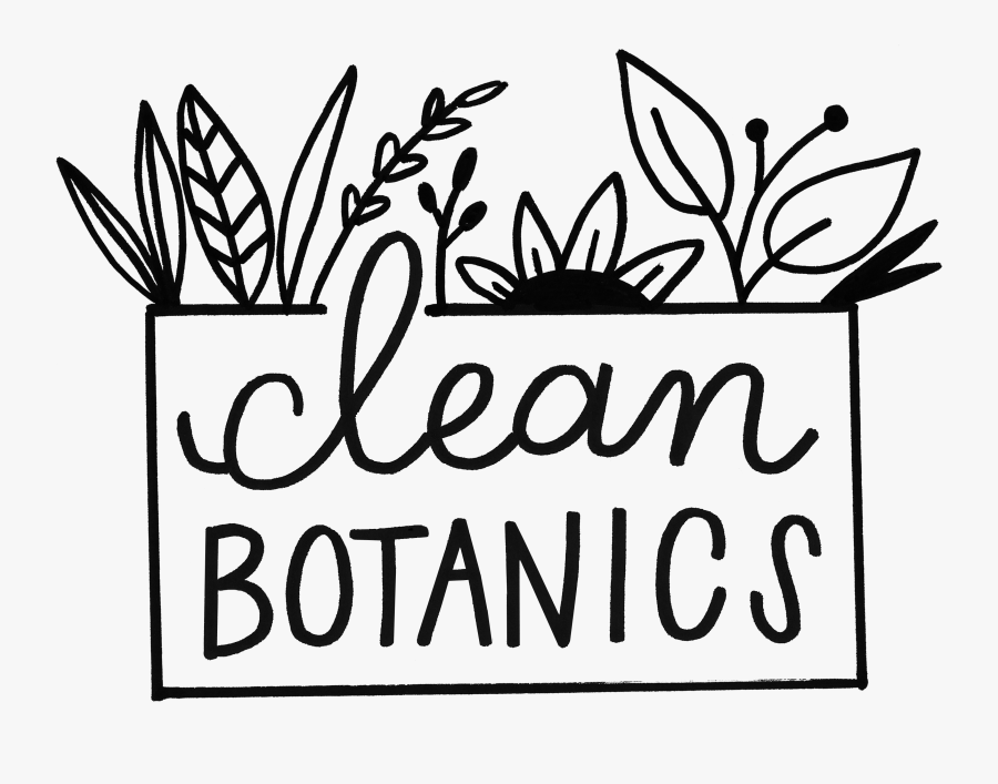 Line Art, Transparent Clipart