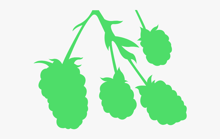 Seedless Fruit, Transparent Clipart