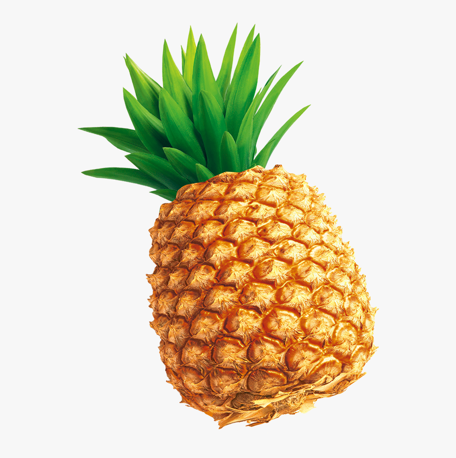 Tempting Pineapple Png Download - Pineapple Thumbnail, Transparent Clipart