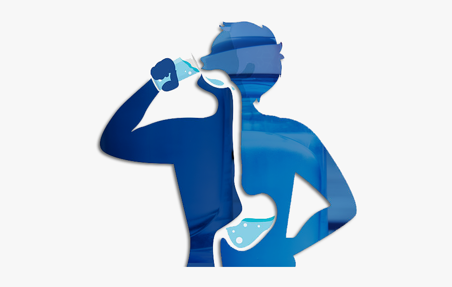Bad Signs You Aren T Drinking Enough Water, Transparent Clipart
