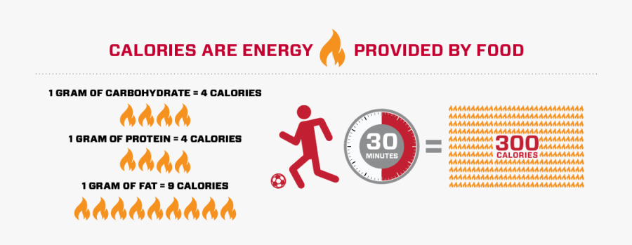 Hydration Recognize To Recover - Malaysia, Transparent Clipart