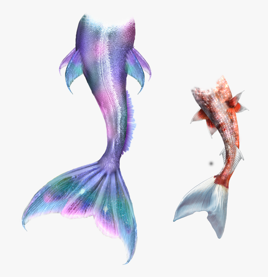 Drawing Mermaids Fairy - Mermaid Tail Drawing, Transparent Clipart