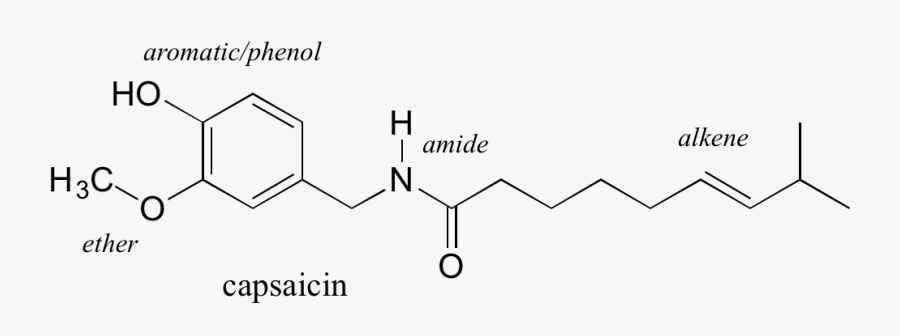 Functional Groups And Organic Nomenclature - Cocaine Structure Functional Groups, Transparent Clipart