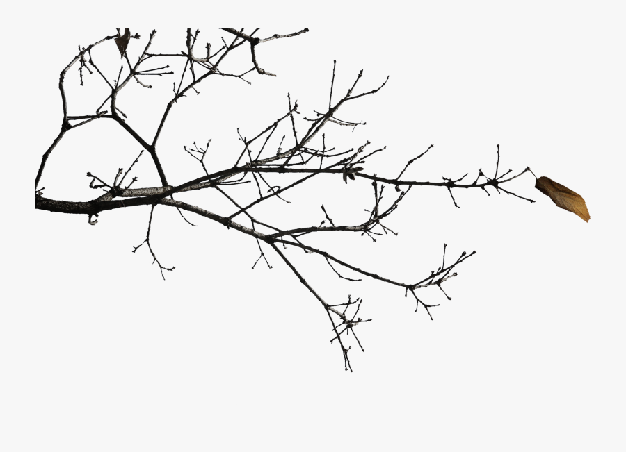 Winter Scenery Picture Png Download - Ranting Kering Png, Transparent Clipart