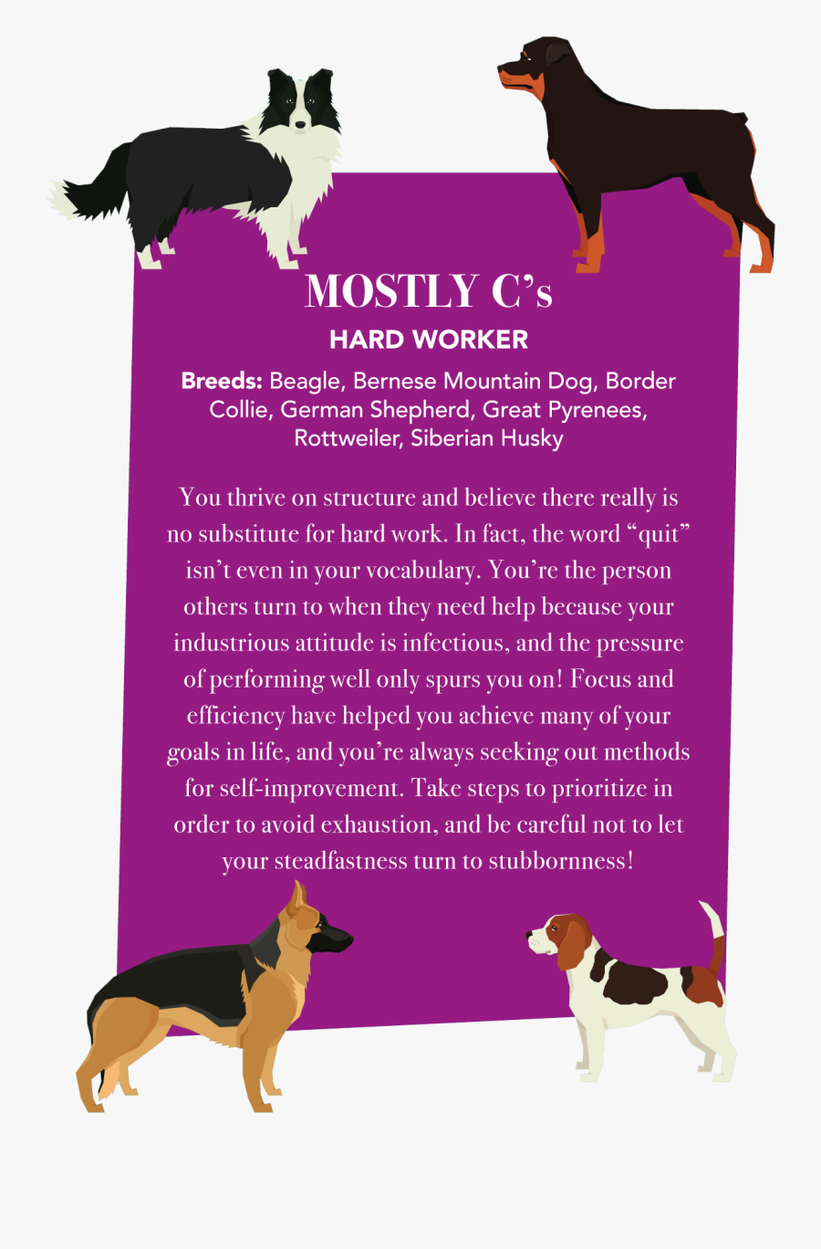 Ancient Dog Breeds, Transparent Clipart