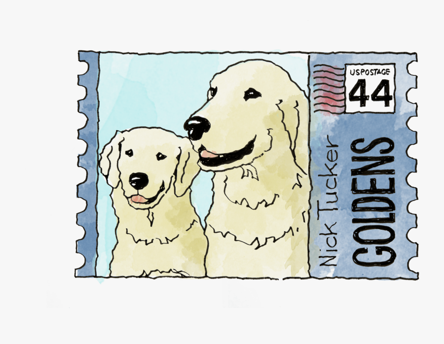 Golden Retriever, Transparent Clipart