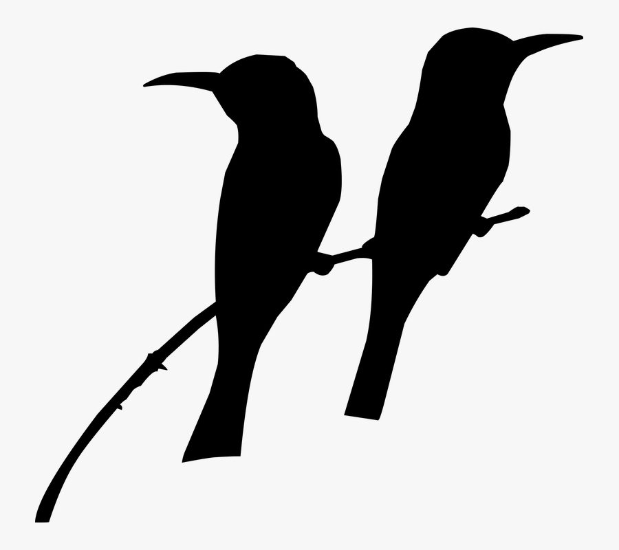 Silhouette, Bird, On The Tree, Tow Bird"s, Nature - Silhouette Birds On A Tree, Transparent Clipart