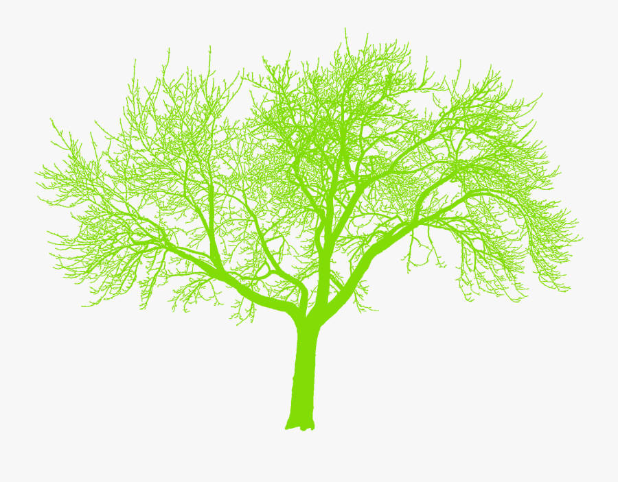 Provides It Support And Online Services Throughout - Forest Tree Silhouette No Background, Transparent Clipart