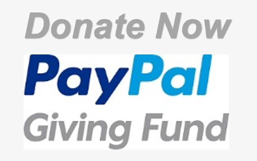 Paypal Giving Fund Non-profit Organisation Donation - Paypal, Transparent Clipart