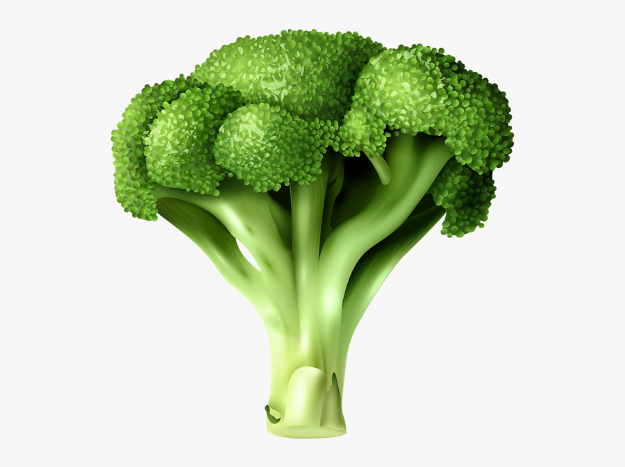 Broccoli Png - Clipart Transparent Background Broccoli, Transparent Clipart