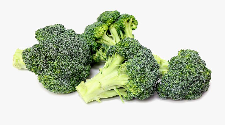 Broccoli Png, Transparent Clipart