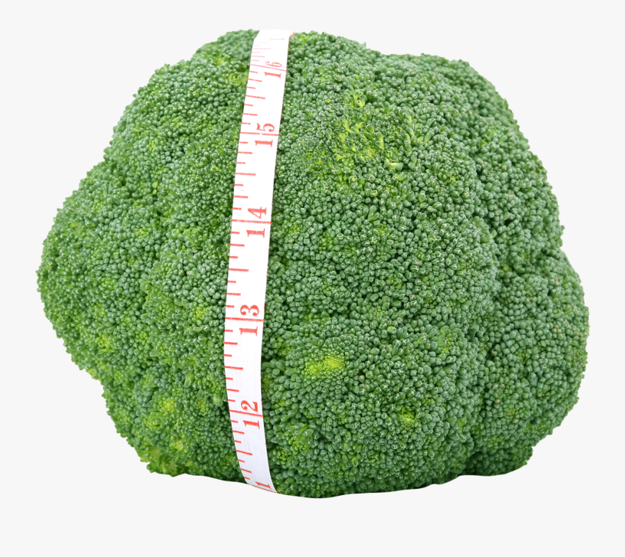 31 Weeks Pregnant Broccoli, Transparent Clipart