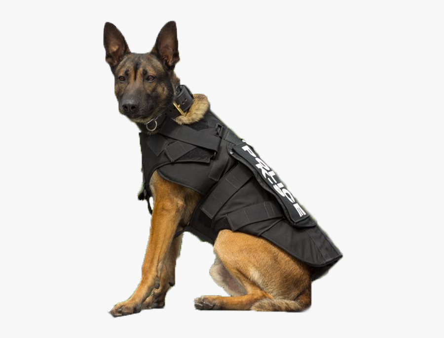 Police German Shepherd Png, Transparent Clipart