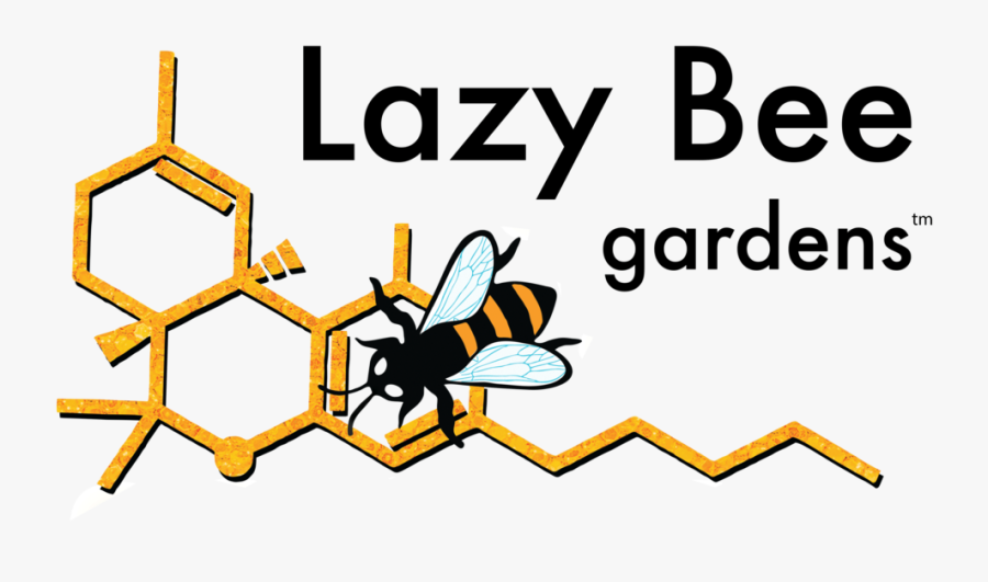 Clip Art Lazy, Transparent Clipart