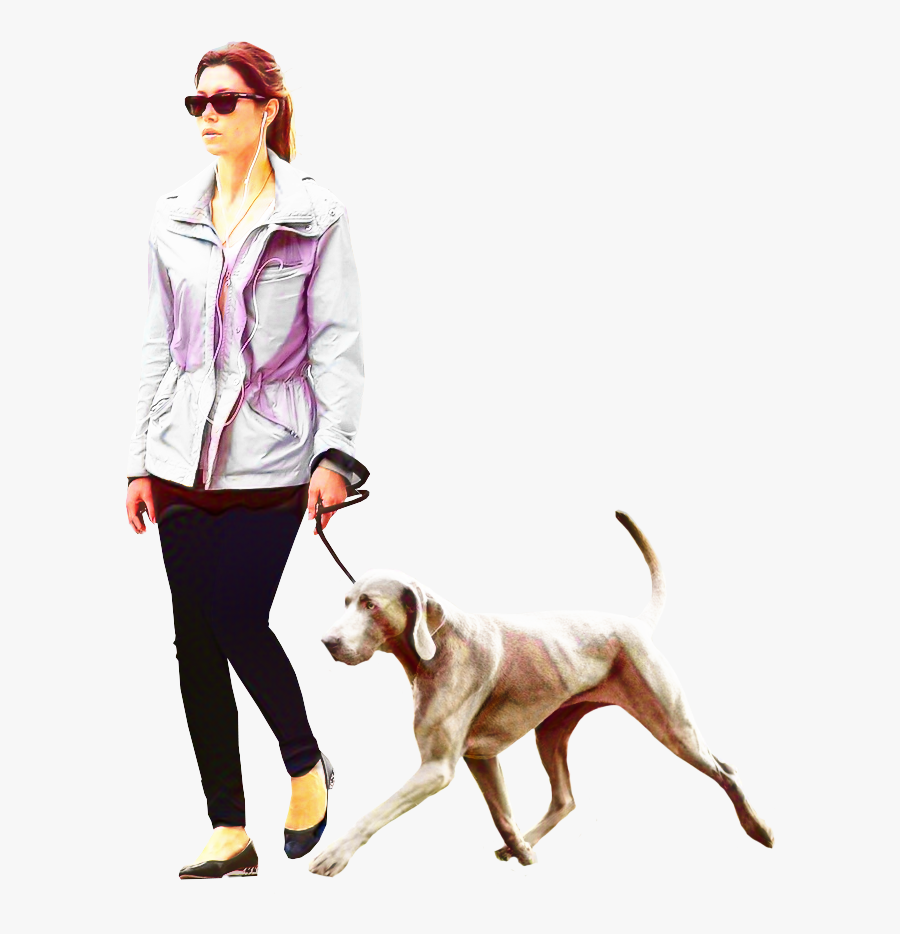Dog Walking Portable Network Graphics Labrador Retriever - Walking Dog Png, Transparent Clipart