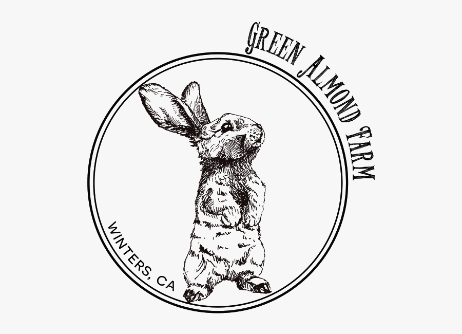 Easter, Transparent Clipart