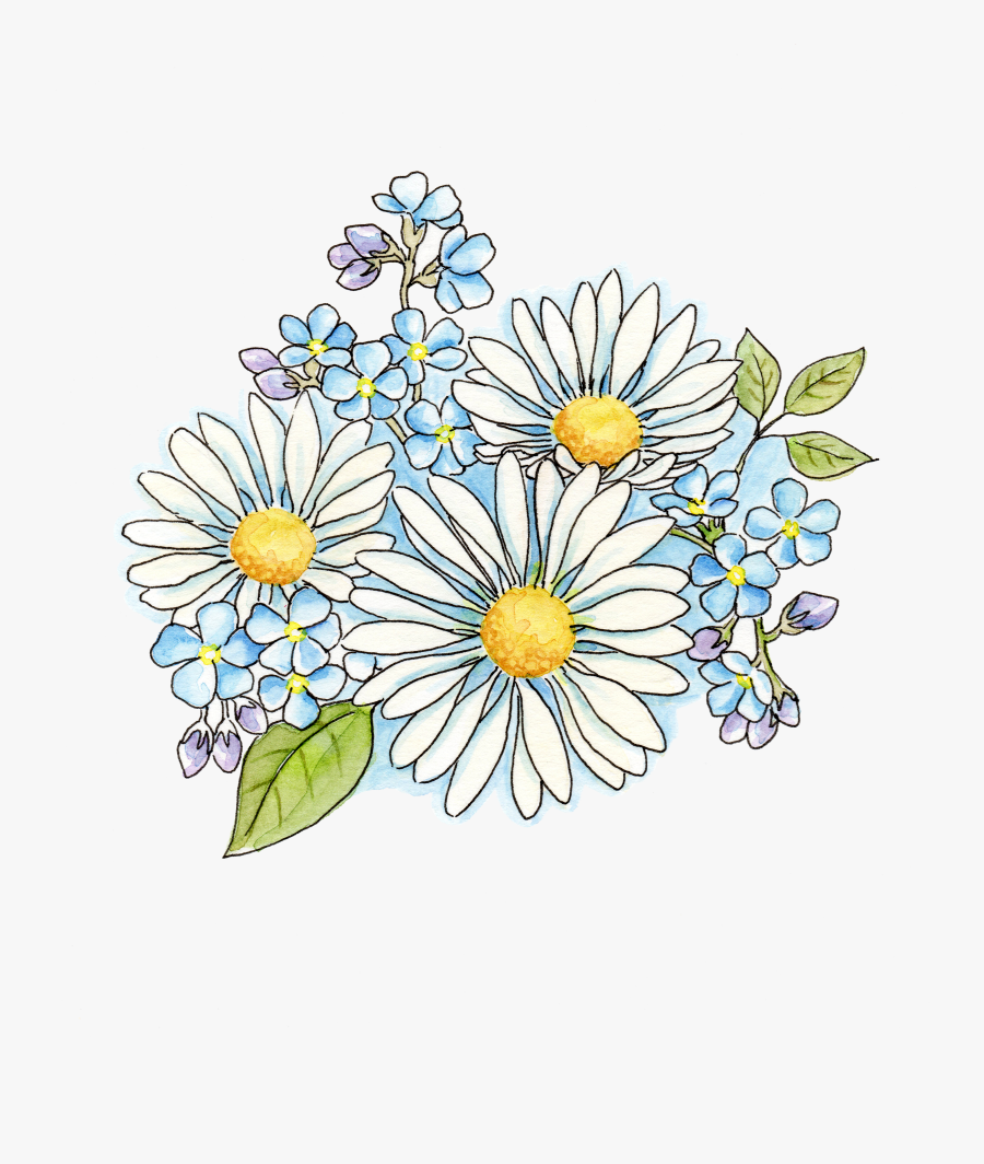 Transparent Outspoken Clipart - Bouquet Daisy Flowers Watercolor, Transparent Clipart