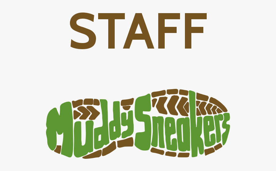 Graphic Design, Transparent Clipart