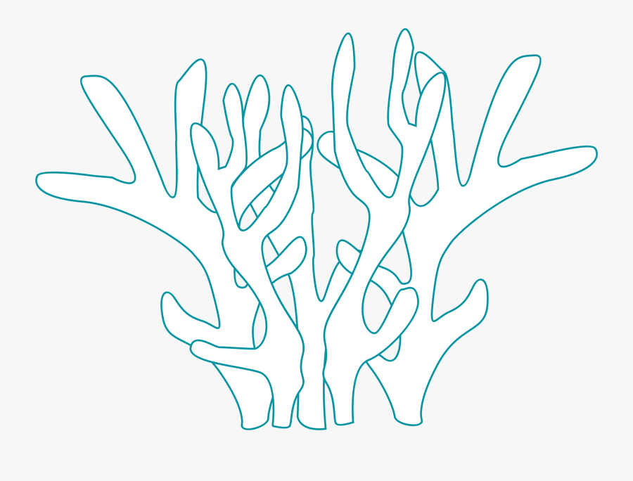 Corals - Coral Colour In Pages, Transparent Clipart