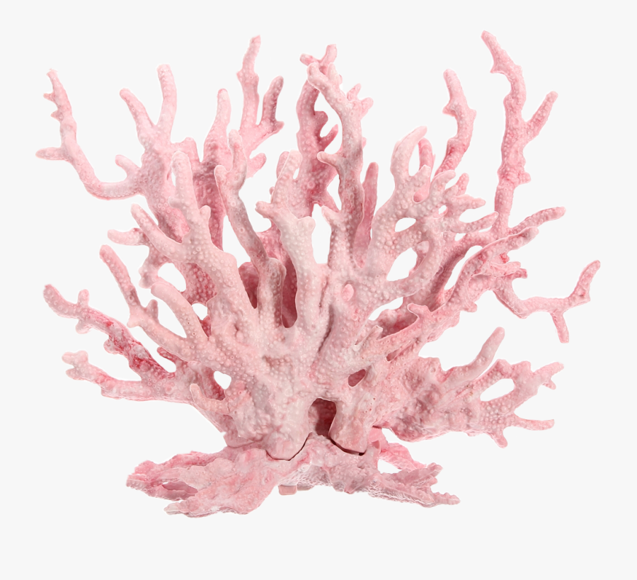 Dont Claim As Yours - Pink Coral Reef Png, Transparent Clipart