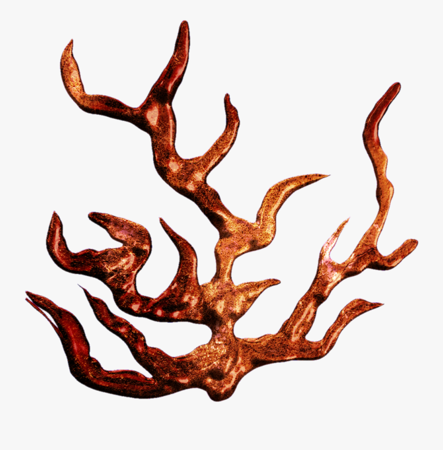 Collection Of Transparent - Coral Gif No Background, Transparent Clipart