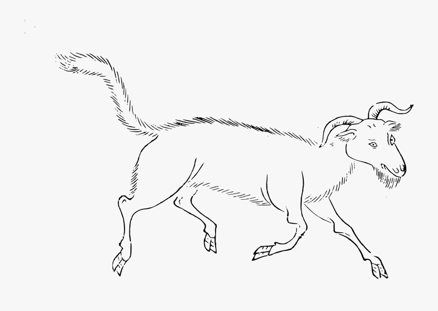 Transparent Ibex Clipart - Line Art, Transparent Clipart