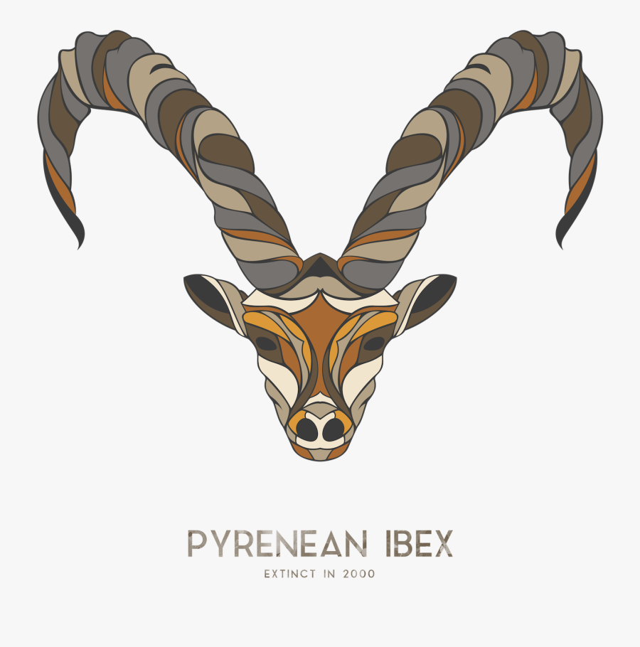 Pyrenean Ibex, Transparent Clipart