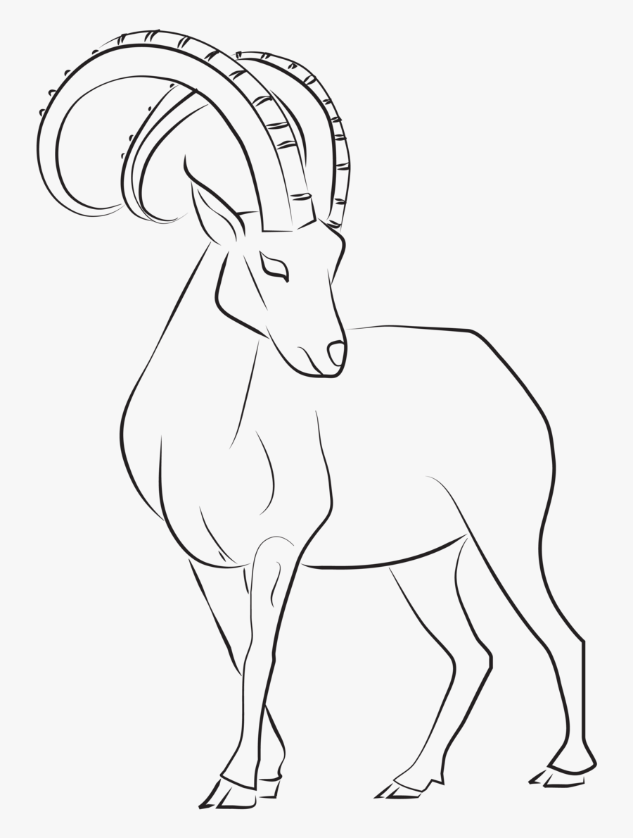 Easy Ibex Drawing, Transparent Clipart