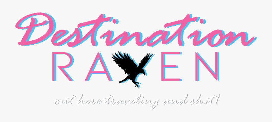 Calligraphy Clipart , Png Download - Accipitridae, Transparent Clipart