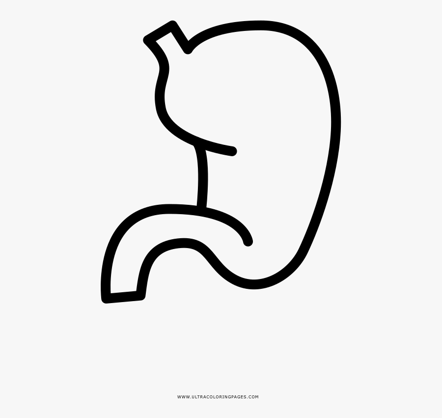 Collection Of Free Tummy Download On Ubisafe, Transparent Clipart